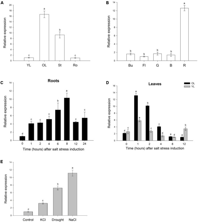 FIGURE 3