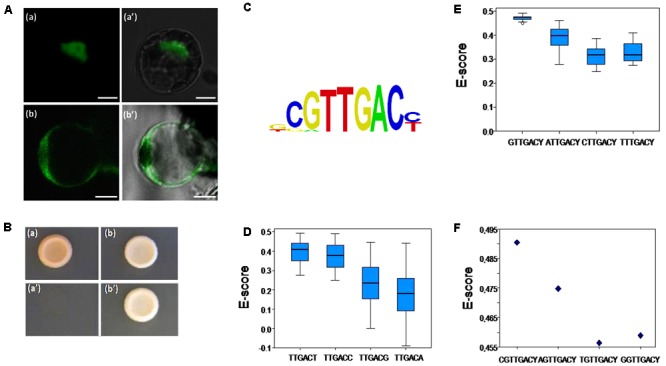 FIGURE 2