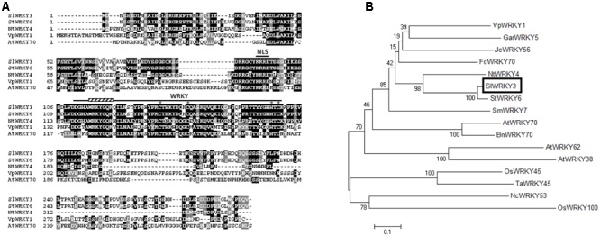 FIGURE 1