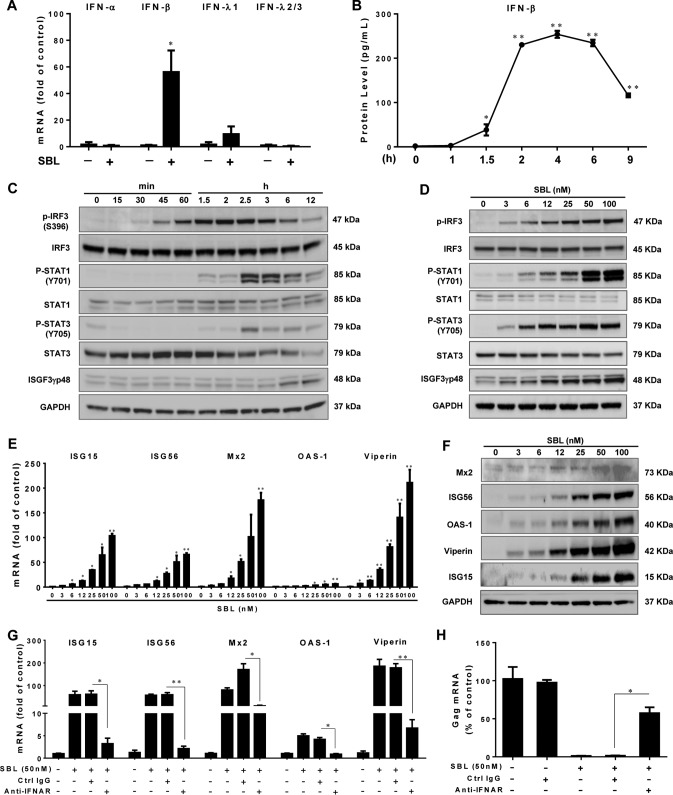 FIG 2