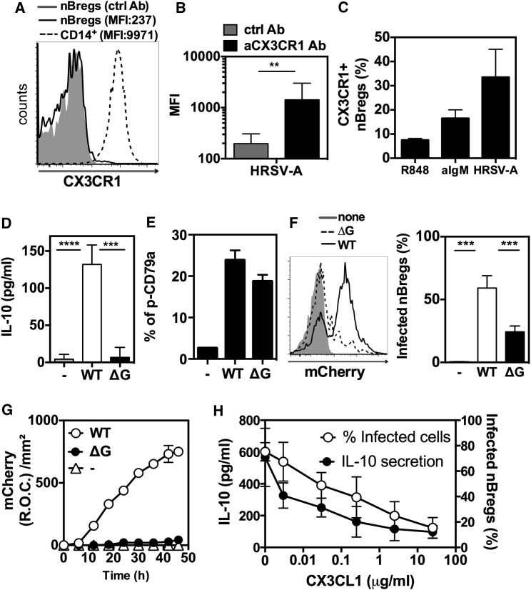 Figure 6