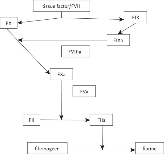 graphic file with name 978-90-368-1430-0_4_Fig1_HTML.jpg