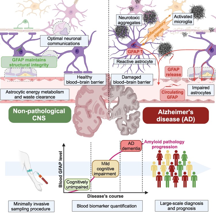 Graphical Abstract