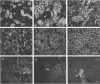 FIG. 6