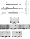 FIG. 7