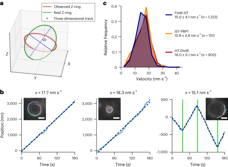 Fig. 3