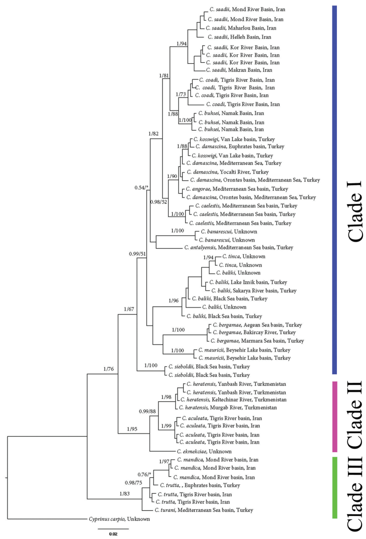 Figure 6.