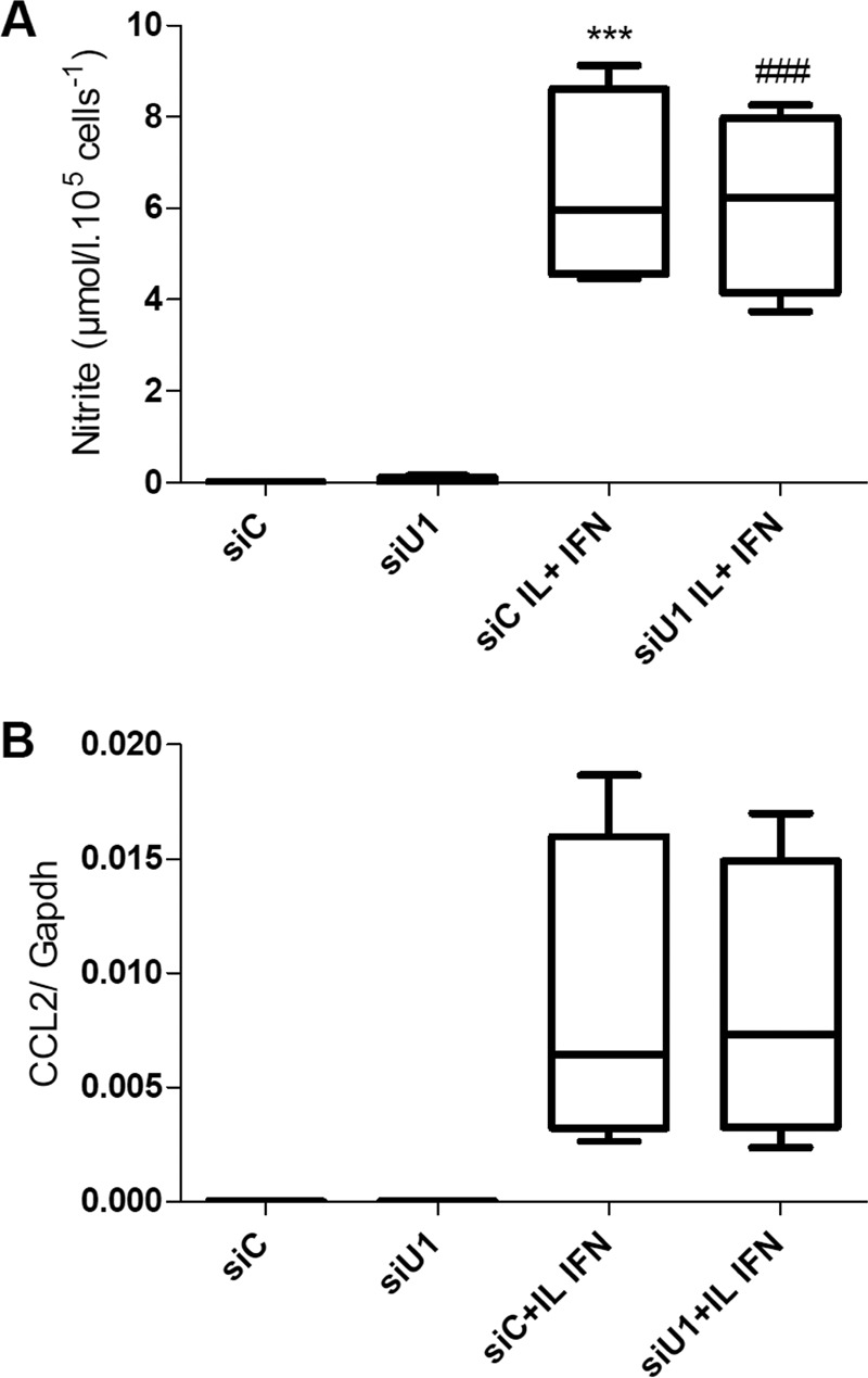 FIGURE 12.