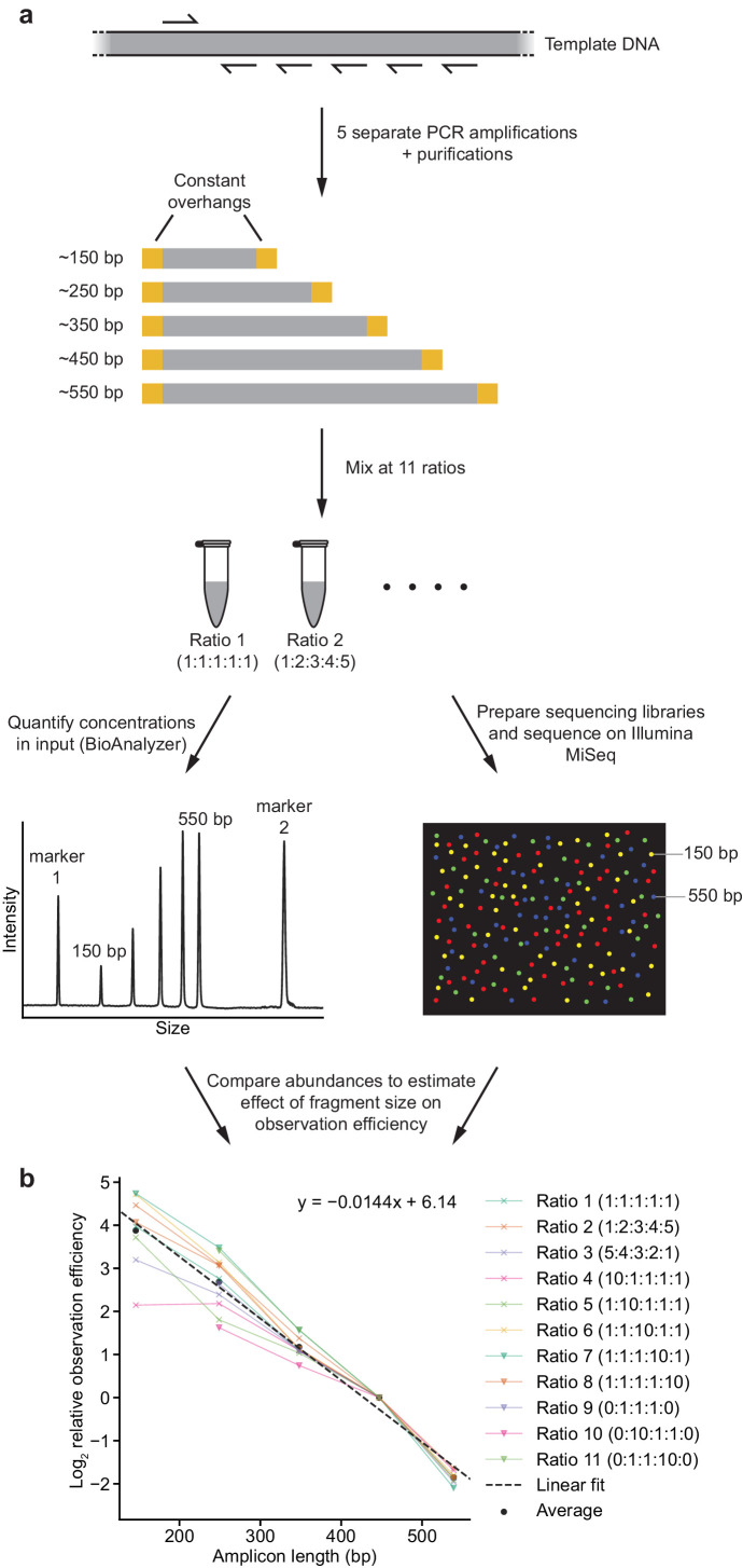 Figure 1—figure supplement 2.