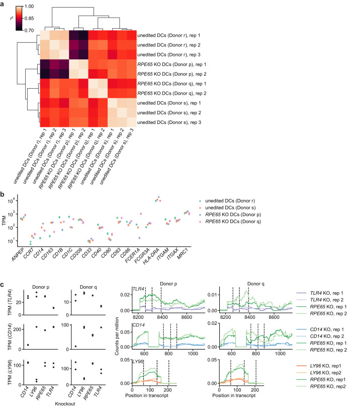 Figure 2—figure supplement 3.