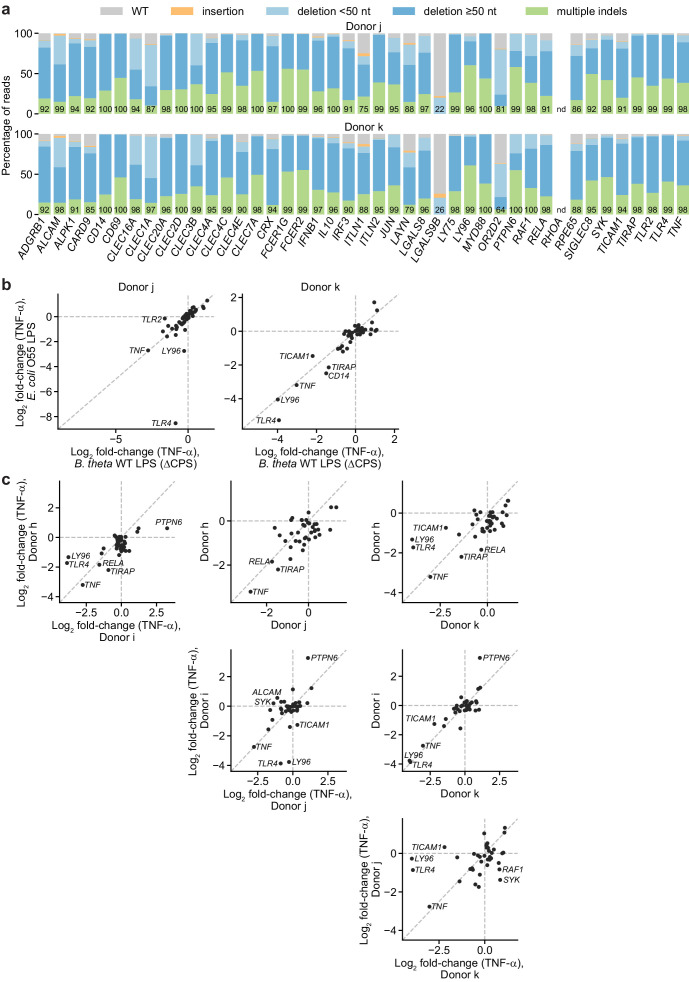 Figure 3—figure supplement 6.