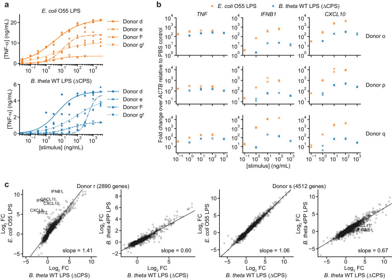 Figure 2—figure supplement 1.