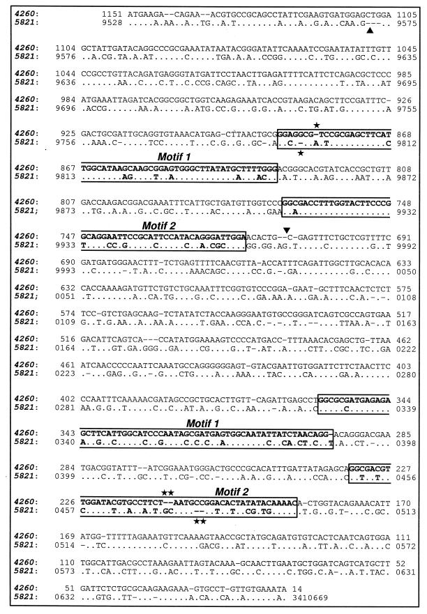 FIG. 5