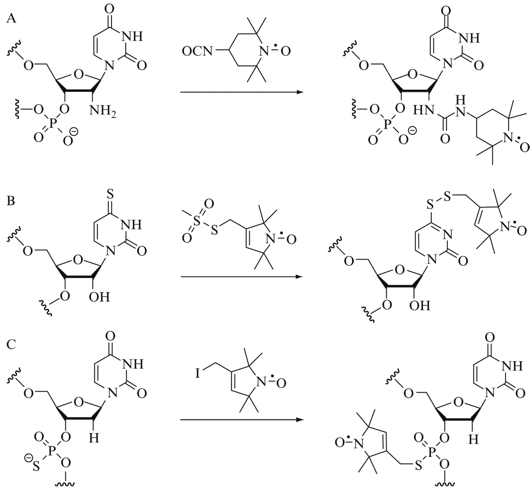 Figure 15.4