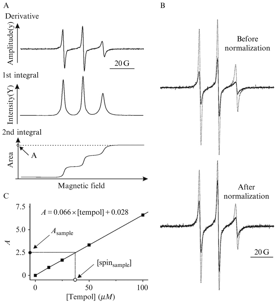 Figure 15.8