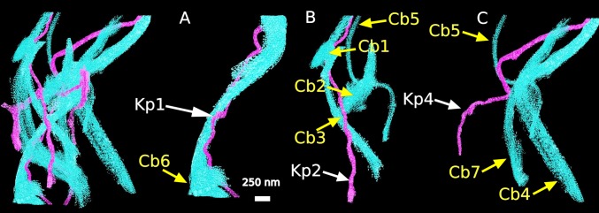 Fig. 7.