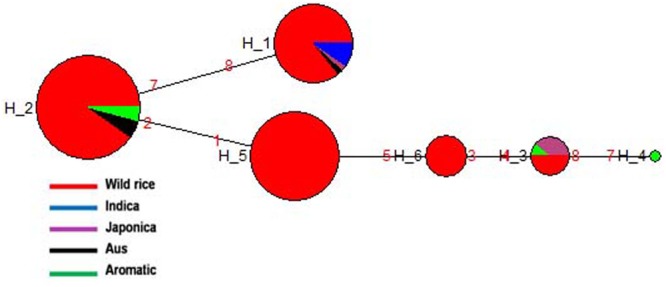 FIGURE 6