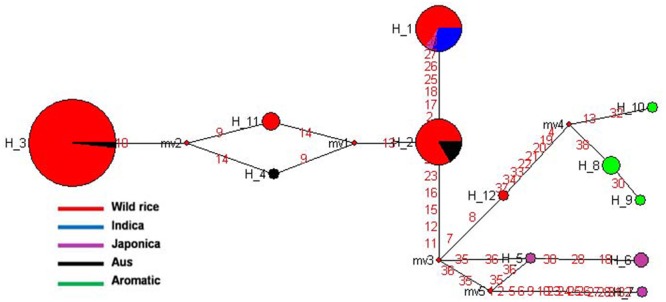 FIGURE 9