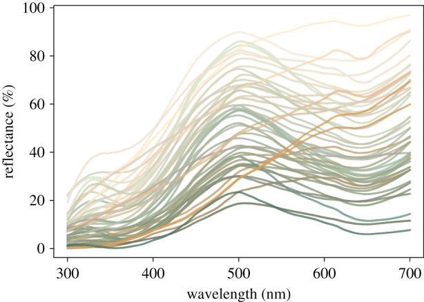 Figure 2.