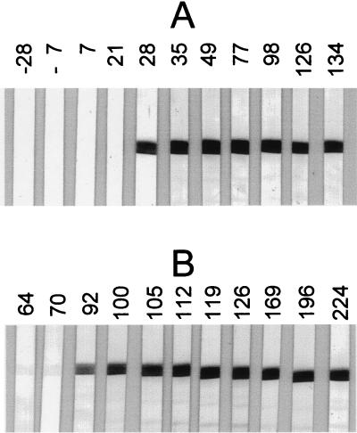 FIG. 5