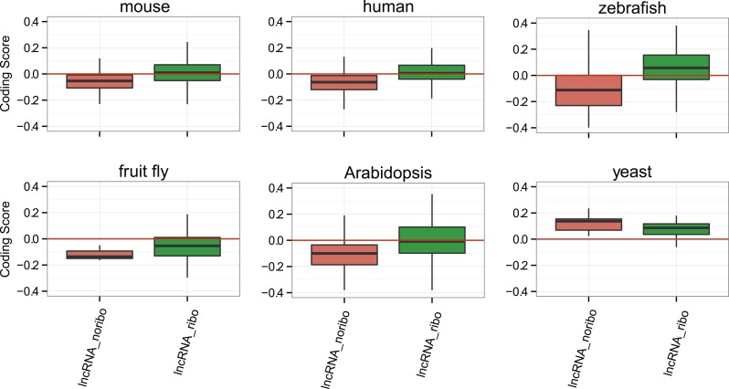 Figure 6—figure supplement 1.