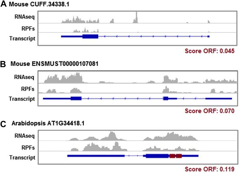 Figure 6—figure supplement 6.