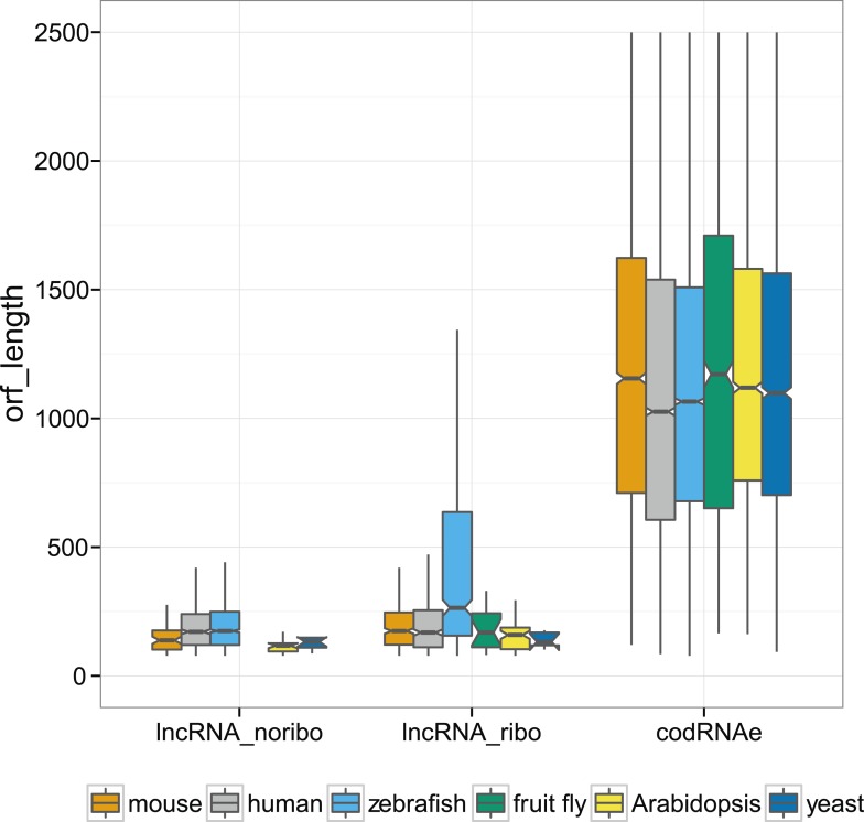 Figure 5—figure supplement 1.