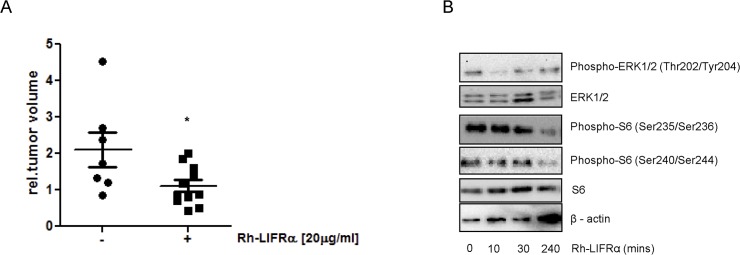 Fig 7