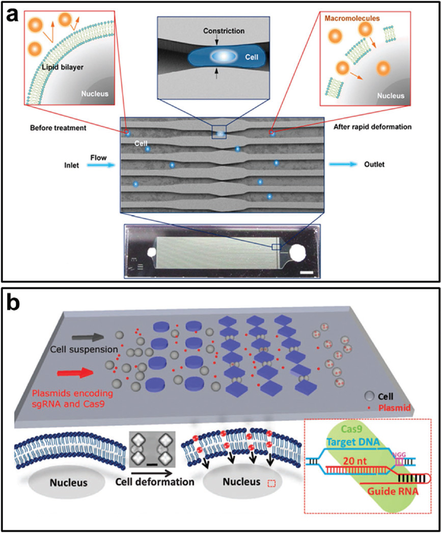 Figure 12