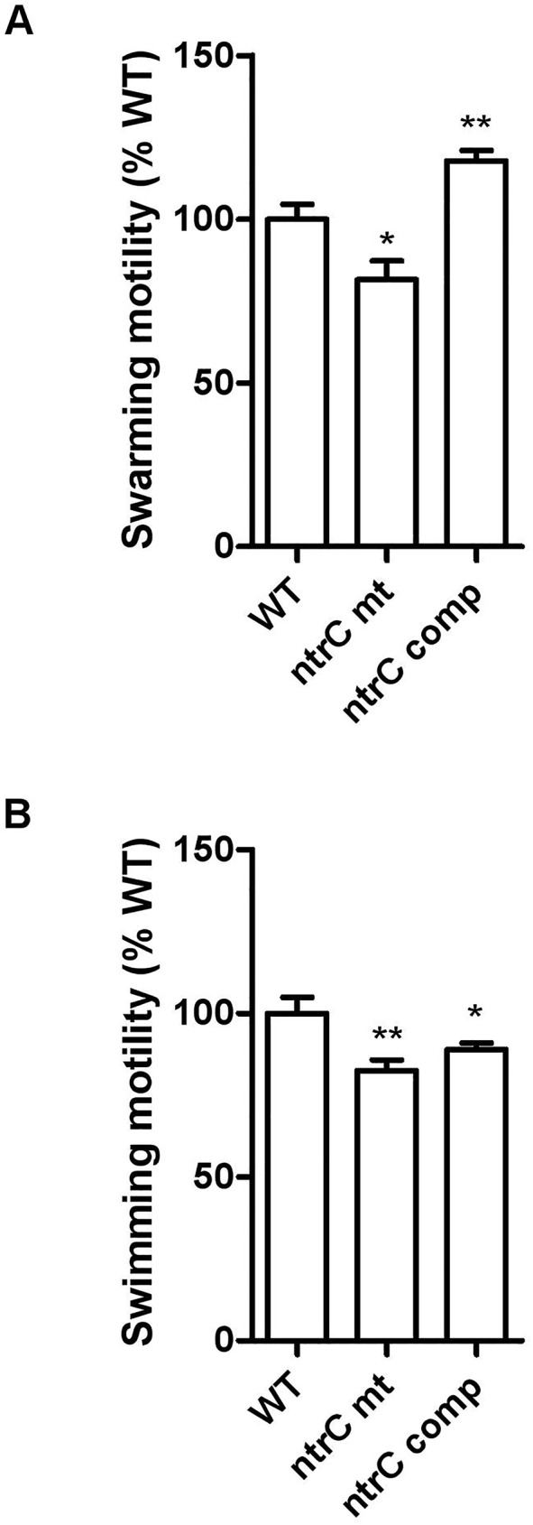 Fig 5