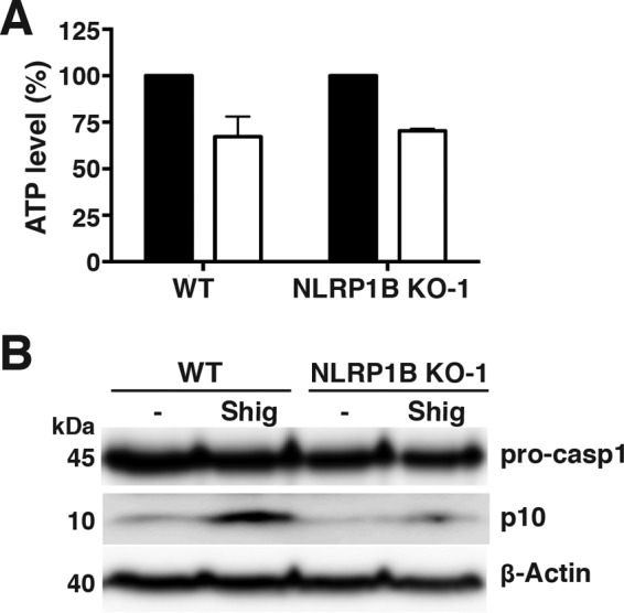 FIG 6