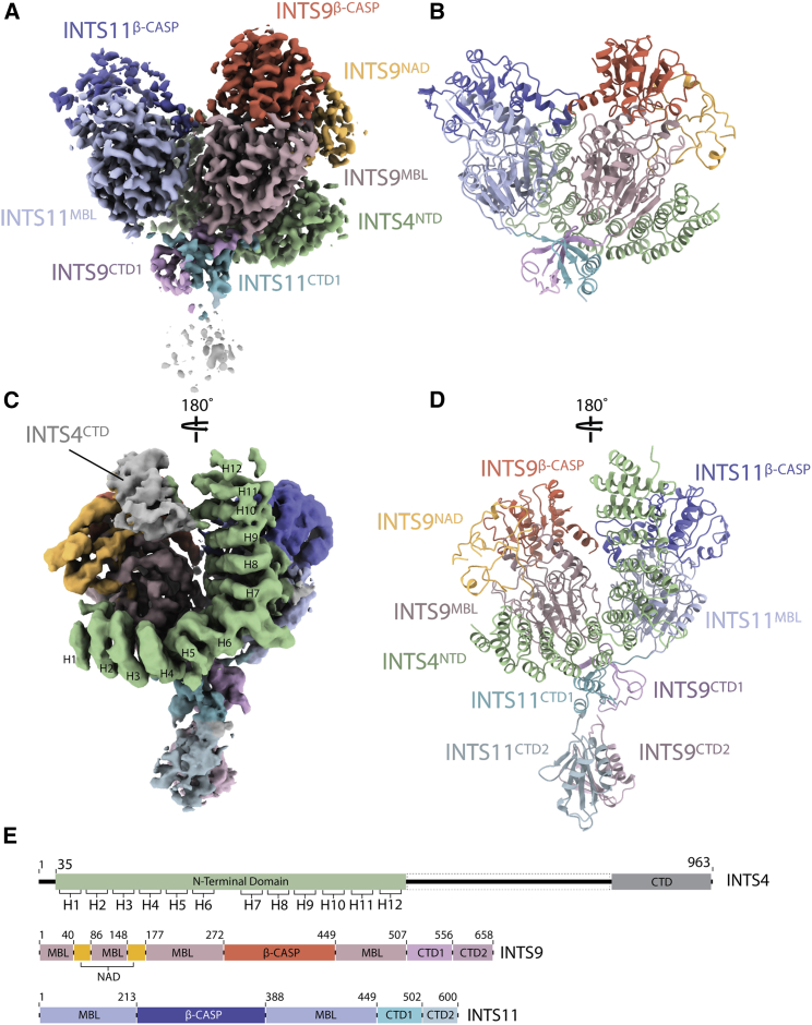 Figure 2