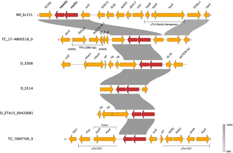 Figure 4.