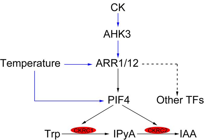 Figure 6