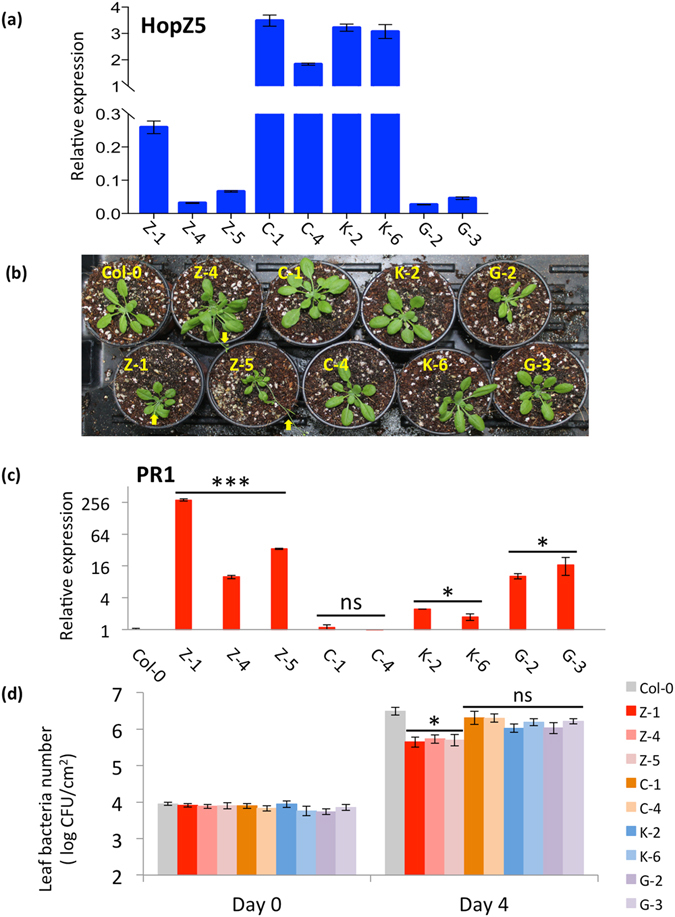 Figure 6