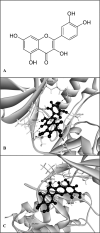 Fig 5