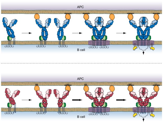 Fig. 3