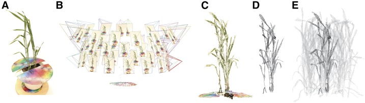 Figure 1.