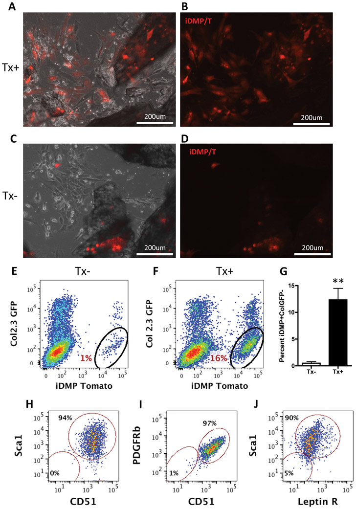 Figure 2: