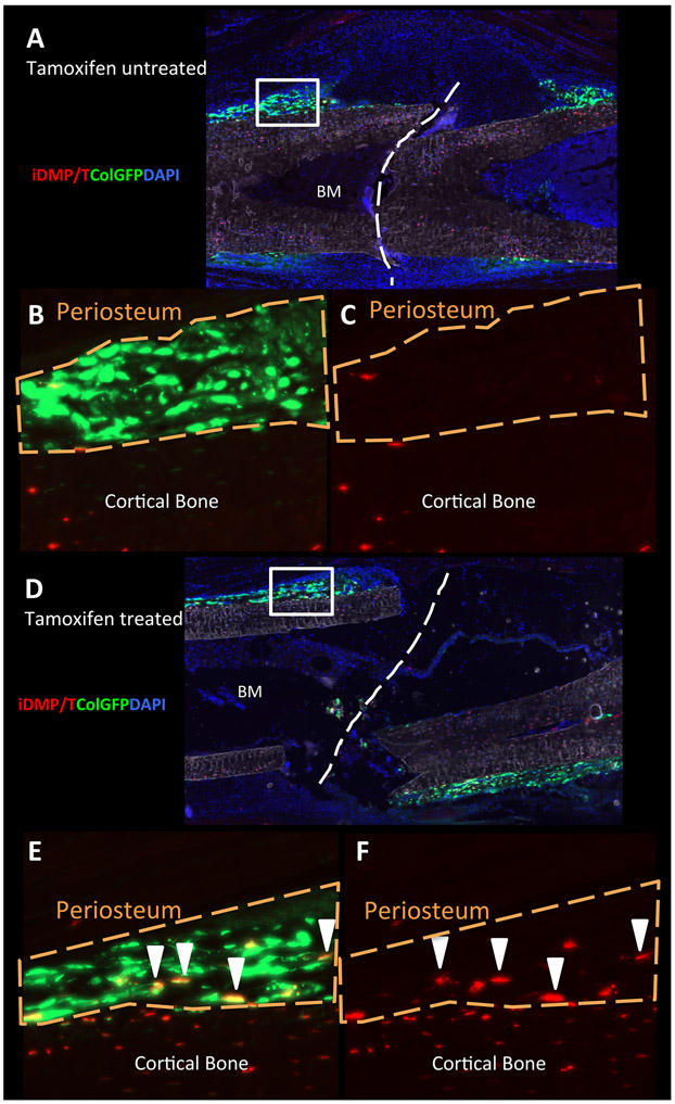 Figure 4: