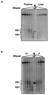FIG. 7