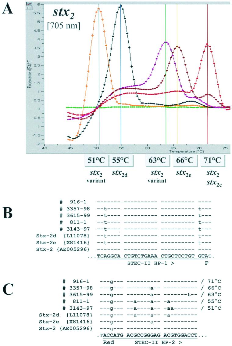 FIG.3.