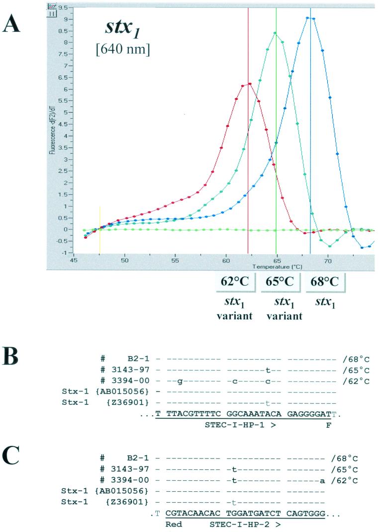 FIG.2.