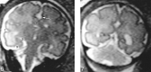 <sc>fig</sc> 6.