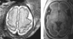 <sc>fig</sc> 8.