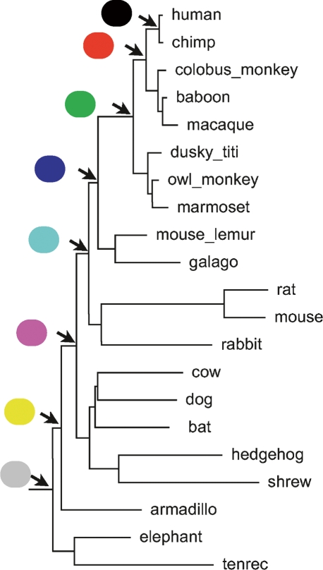 Figure 4.