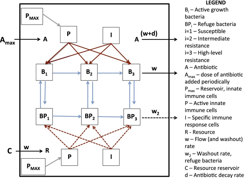 Fig. 1.