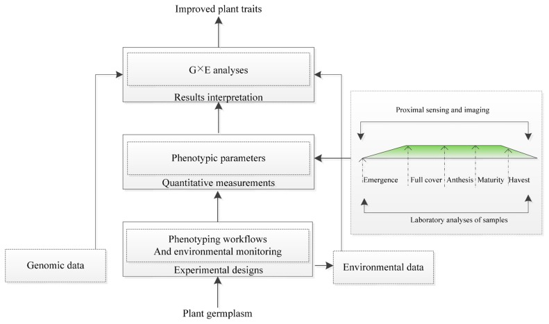 Figure 1.