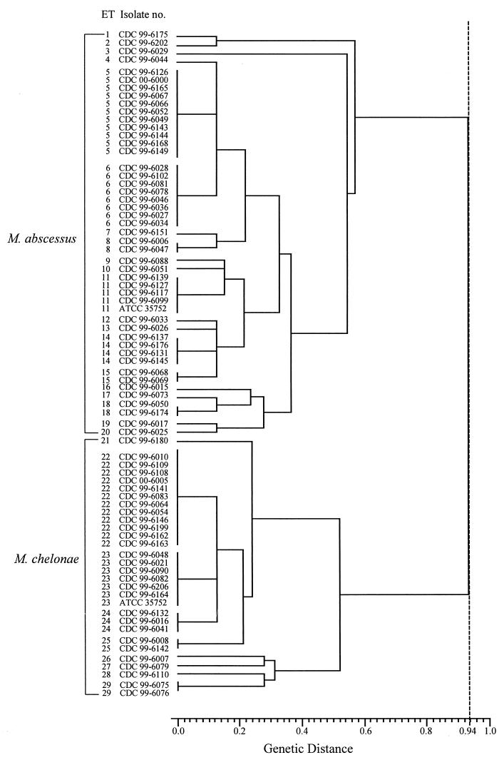 FIG. 1