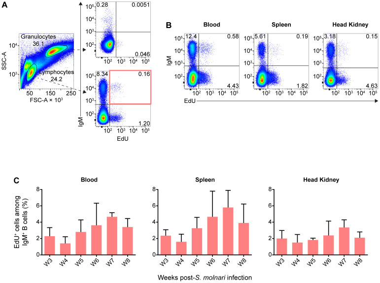 Figure 6